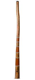 Tristan O'Meara Didgeridoo (TM335) 